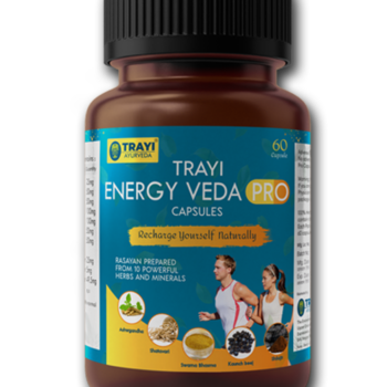 Trayi Energy Veda: Unlocking Your Inner Vitality (Copy)